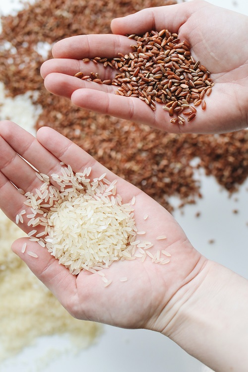 Asiatischer Reis – Sorten